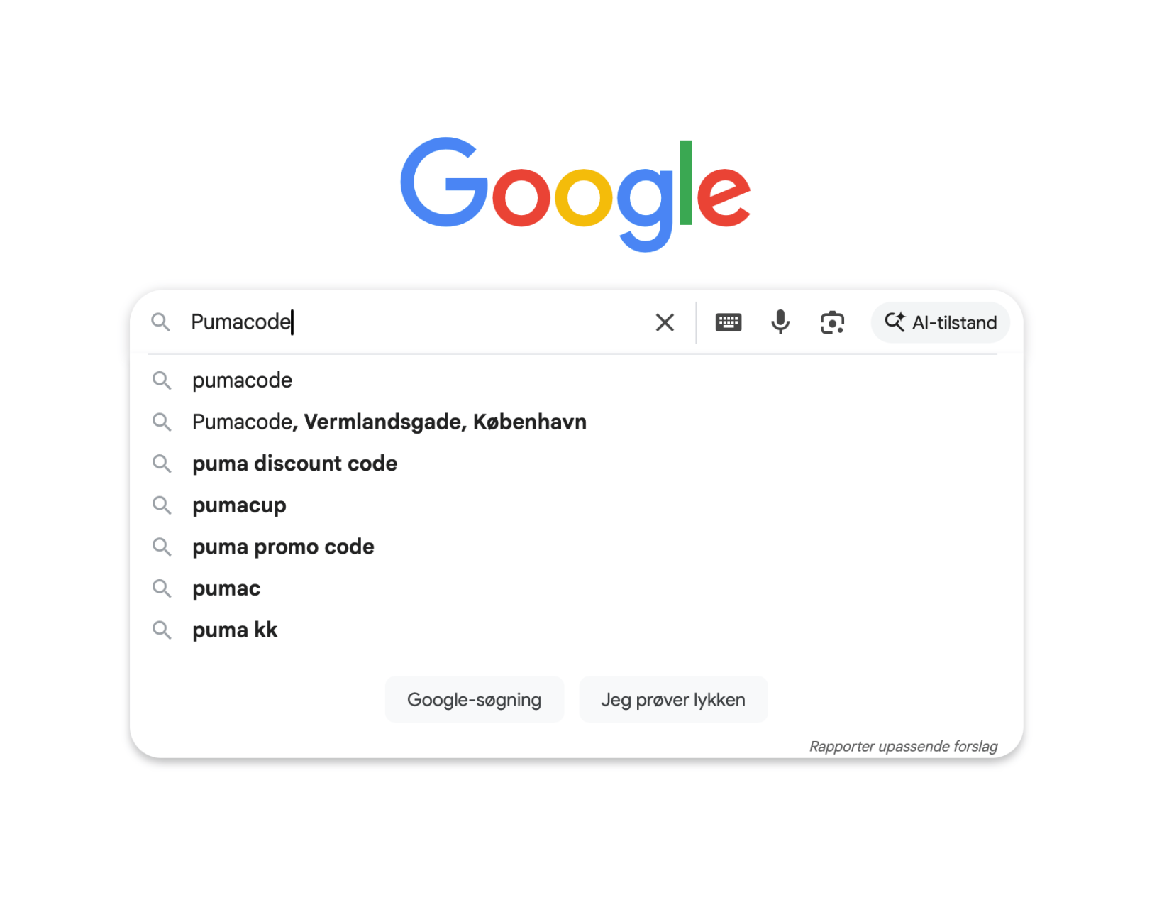 pumacode google søgning